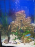 akvarium_plastik109