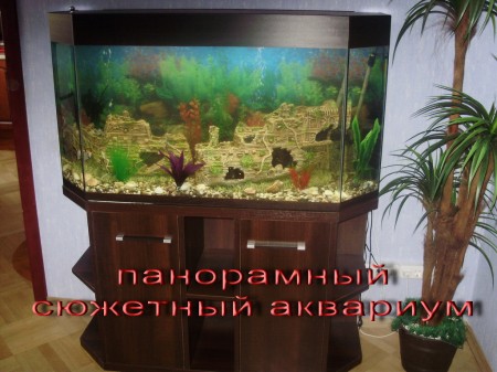 akvarium_sujetniy13 Последняя модель сюжетного аквариума