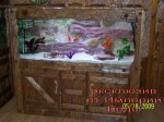 photoexclusiveaquarium10
