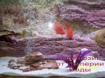 photoexclusiveaquarium15