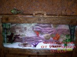 photoexclusiveaquarium17