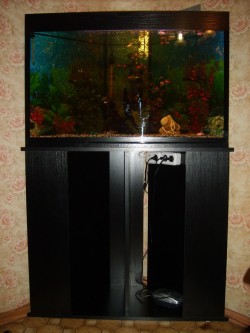 uglovoi_aquarium106 uglovoi_aquarium106